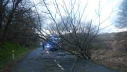 Na snímke strom spadnutý na cestu, za ním hasičské auto