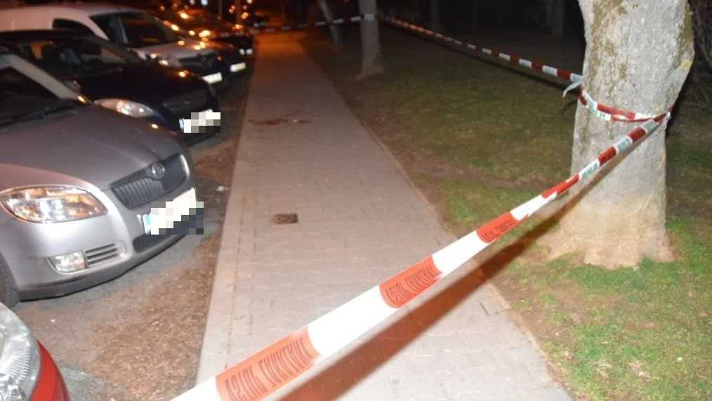 Pes zaútočil v Trenčíne na okoloidúcu ženu. Museli ju previezť do nemocnice