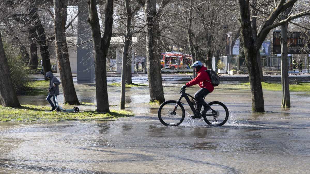 Cyklista jazdÃƒÂ­ cez zaplavenÃƒÂº Ã„ÂasÃ…Â¥ Sadu Janka KrÃƒÂ¡Ã„Â¾a v Bratislave.