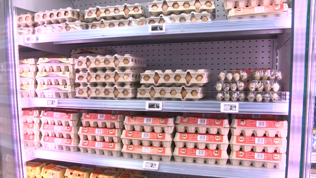 Ceny vajec lámu rekordy. Zdraželi v celej Európskej únii