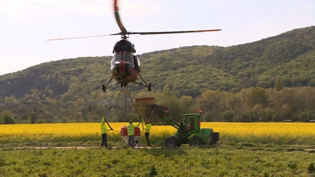 Proti komárom nasadili drony aj vrtuľník. V Bratislave sa začal boj s ich liahniskami