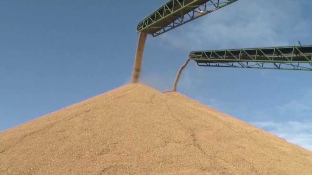 Európska komisia kritizuje rozhodnutie Slovenska pozastaviť dovoz obilia z Ukrajiny