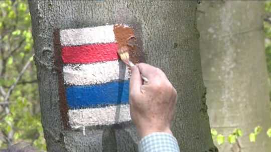 Na snímke osoba maľuje na strom turistickú značku.