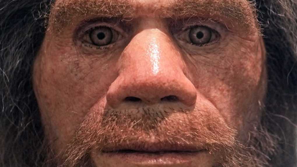 Niektorí ľudia majú väčší nos. Podľa štúdie ich rodokmeň zahŕňa vzdialeného neandertálskeho predka