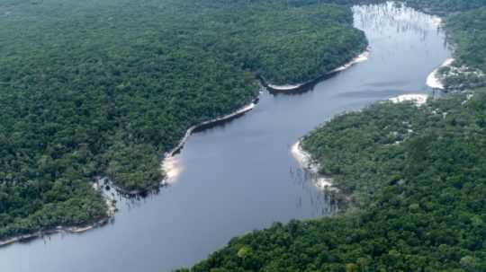 Ilustračná snímka – Amazonský prales, ktorým v strede preteká rieka