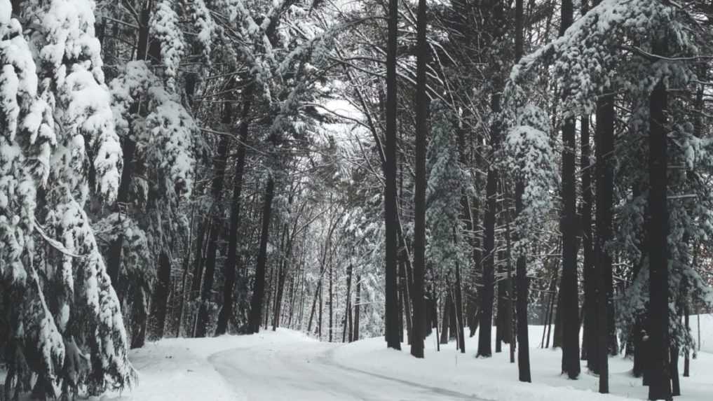 Osemročný chlapec prežil dva dni v michiganskej divočine. Jedol sneh a schovával sa pod stromom