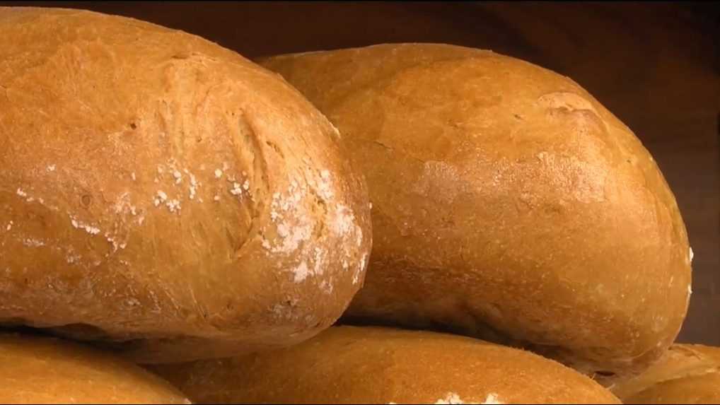 Cena chleba je na historických maximách a najbližšie mesiace s jeho zlacnením počítať nemôžeme