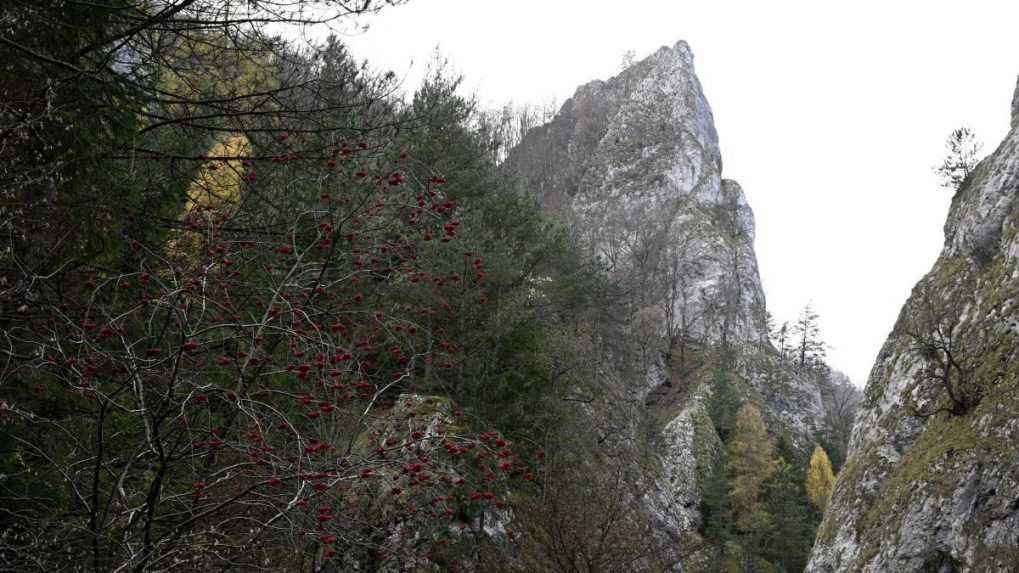 V Manínskej tiesňave spadol zo skaly český turista