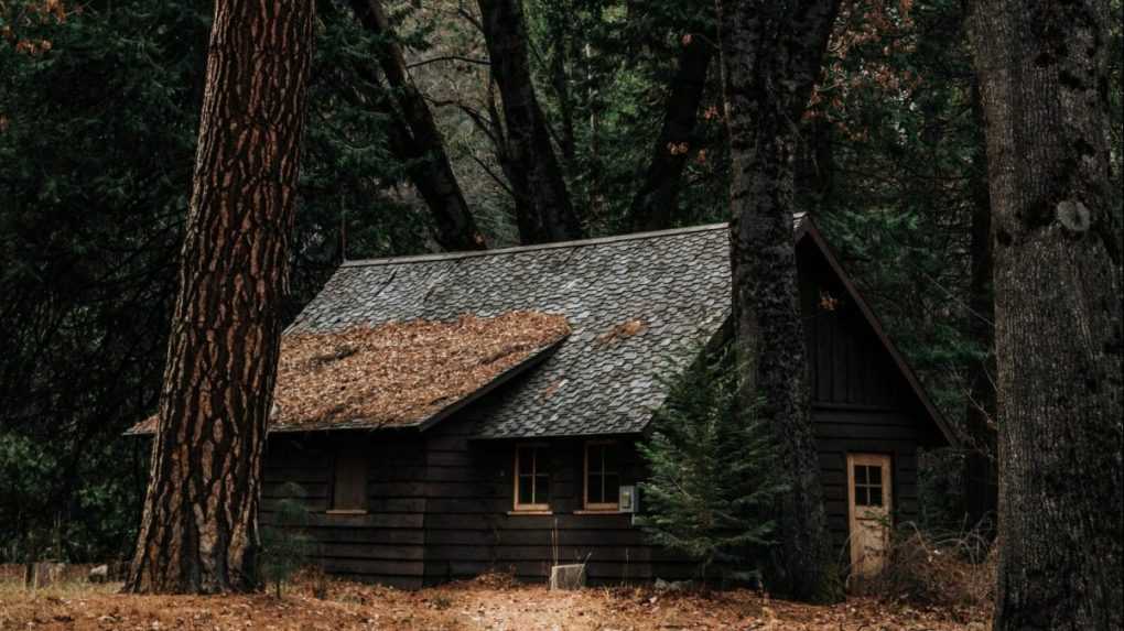 Rakúska polícia objavila v osamotenom dome v lese telesné pozostatky troch osôb