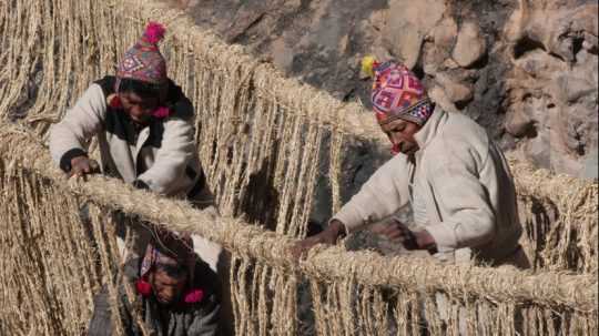 Domorodí obyvatelia Peru opravujú ručne tkaný visutý most.