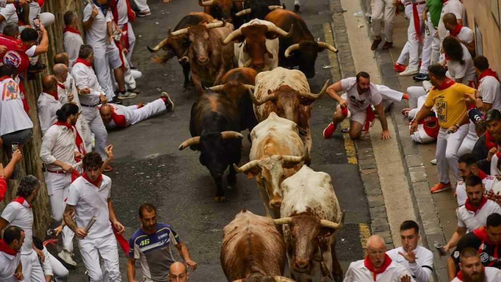 Mesto Pamplona na severe Španielska sa opäť stalo dejiskom prvého behu býkov. Sledovali ho tisíce zvedavcov