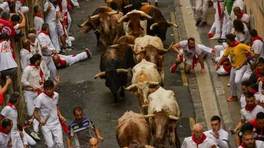 Na snímke býky z farmy La Palmosilla bežia medzi účastníkmi počas prvého dňa behu býkov, ktorý je súčasťou slávností sv. Fermínav španielskej Pamplone v piatok 7. júla 2023.