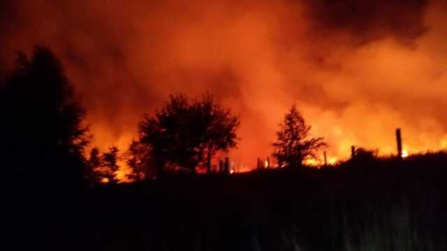 FOTO: V noci vypukol lesný požiar pri Svätom Jure. Zásah komplikovali zlé podmienky
