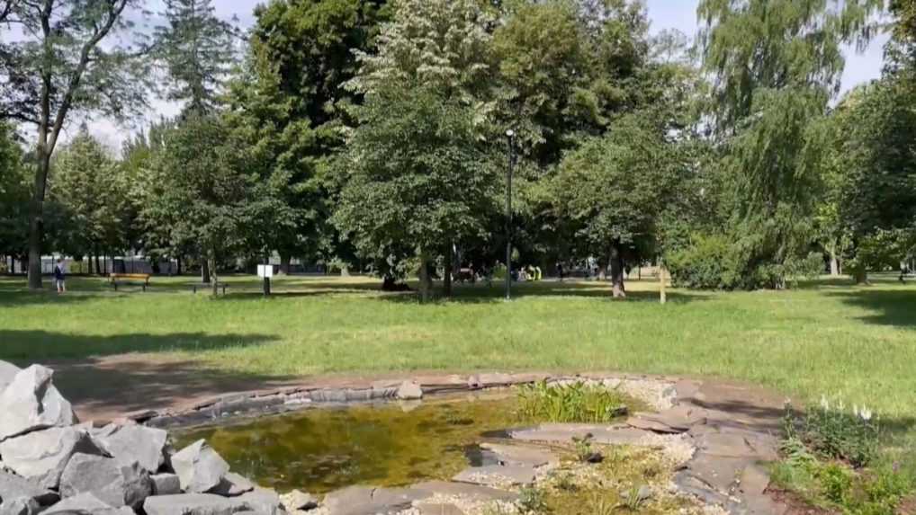 V košickom mestskom parku pred mesiacom pribudlo jazierko pre chránené žaby. Ľudia ho však začali ničiť