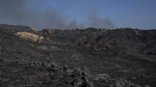 Zhorený les na gréckom ostrove Rodos.