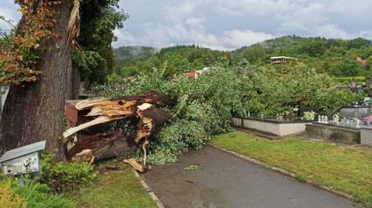 Na snímke spadnutý strom po búrke vo Veľkej Rovnej.