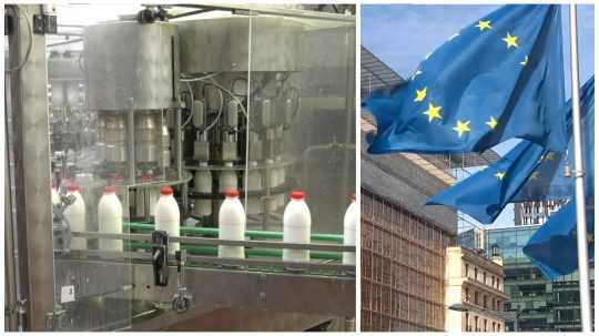 Na koláži vľavo výrobná linka s mliekom, vpravo vlajky Európskej únie.