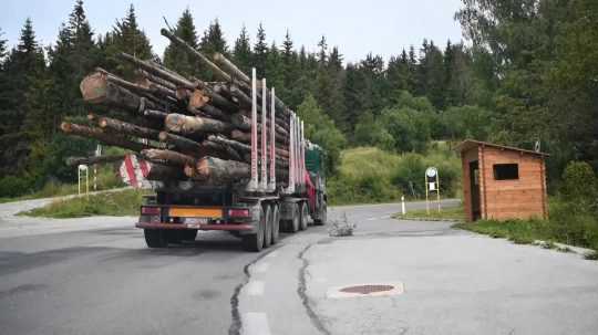 Kamión naložený drevom.
