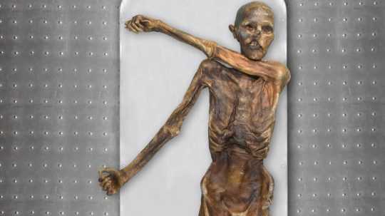 Ľadový muž Ötzi, ktorého múmia bola objavená v roku 1991 v talianskych Alpách.