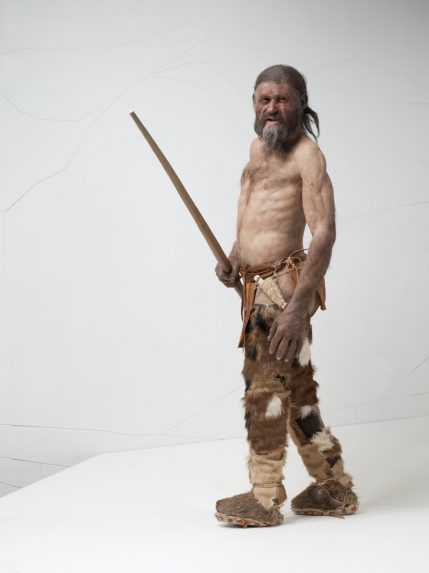 Podobizeň ľadového muža Ötziho, ktorú vytvorili  Alfons a Adrie Kennisovci.  Ötzi mal tmavšiu pokožku, ako sa pôvodne predpokladalo, a v čase keď zomrel, bol pravdepodobne takmer alebo úplne plešatý.