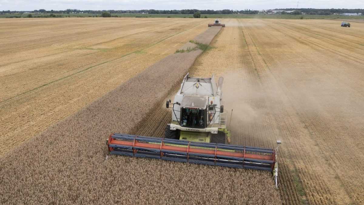 Kijów złoży pozwy przeciwko Polsce, Węgrom i Słowacji