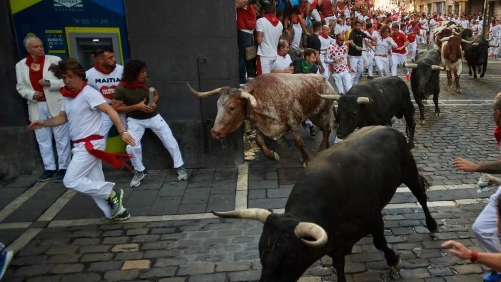 Tradičný beh s býkmi v Španielsku si vyžiadal jednu obeť. Zviera nabralo muža na rohy