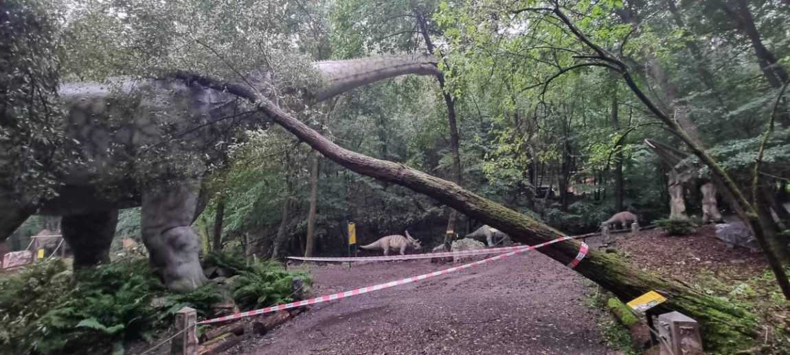 Búrky opäť potrápili východ Slovenska. V košickej zoo vytopilo areál tučniakov