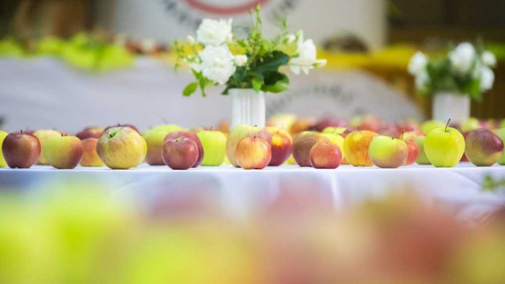 Toto je najkrajšie jablko roku 2023: Súťaž už druhý rok po sebe vyhral ten istý pestovateľ s rovnakou odrodou