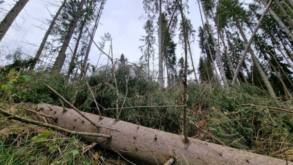 SHMÚ varuje pred silným vetrom: Na horách môže miestami dosahovať úroveň víchrice