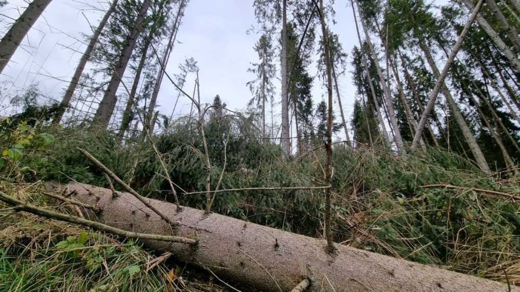 Kalamita na Orave: Vietor lámal stromy, vyváľal asi tisíc kubíkov dreva. Na elektrinu sa niekde čakalo až do popoludnia