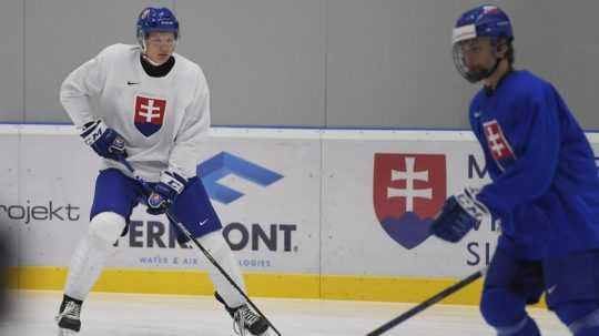 Na snímke vľavo slovenský hokejista Jakub Demek.