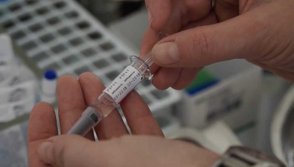 Slovensko eviduje zvýšený dopyt po vakcínach proti kiahňam a žltačke. V lekárňach však chýbajú