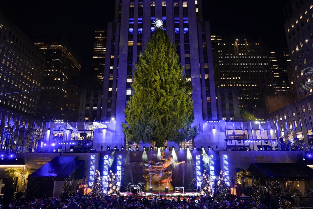 VianoÃ„ÂnÃƒÂ½ stromÃ„Âek v New Yorku.