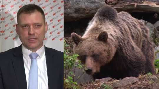 Na snímke šéf envirorezortu Tomáš Taraba z SNS, vpravo medveď.