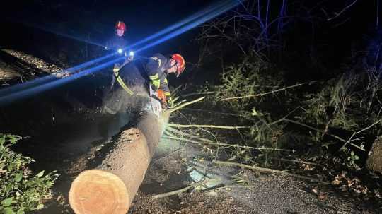 Na snímke hasiči odstraňujú spadnutý strom.