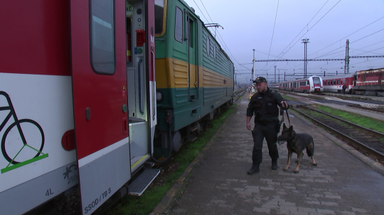 Policajt so sluźobným psom nastupuje do vlaku.