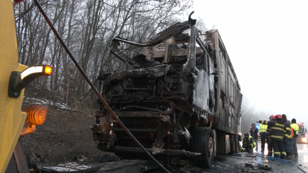 Na diaľnici pri Košiciach horel nákladiak so živými prasatami, desiatky neprežili