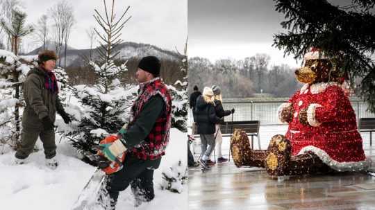 Koláž: Vľavo muž a žena režú vianočný stromček, vpravo pri veľkej vianočnej dekorácii prechádzajú osoby v daždi.
