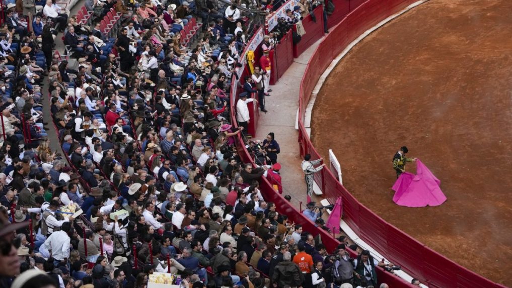 V Mexiku obnovili býčie zápasy. Kým sa v aréne radovali tisíce ľudí, v uliciach protestovali ochrancovia zvierat