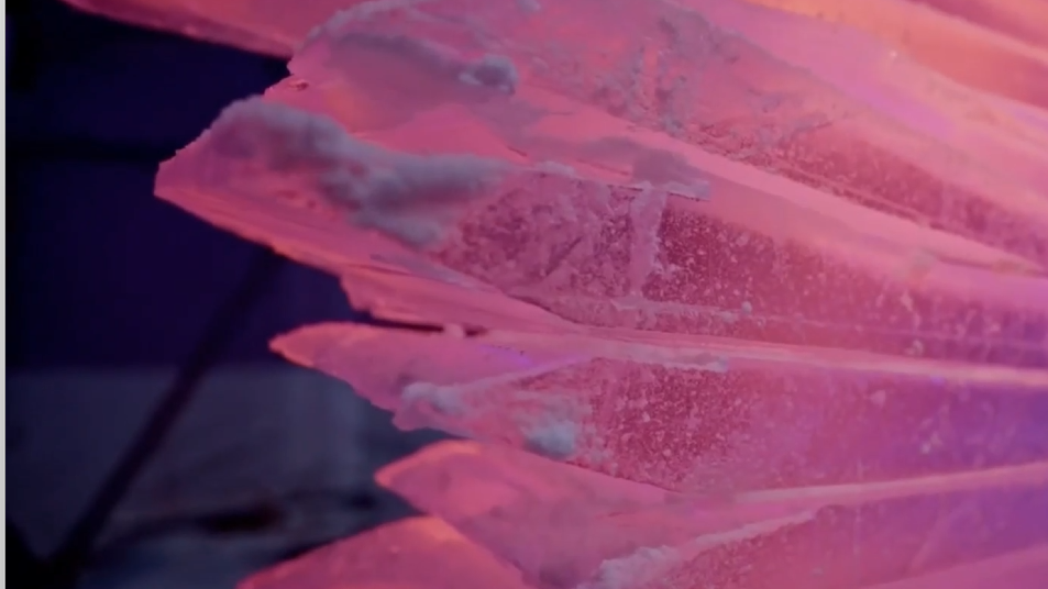 Umenie, pri ktorom mrznú prsty: Na Hrebienku súťažili umelci z celého sveta v tvarovaní sôch z ľadu