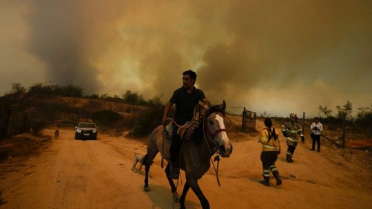 Miestny obyvateľ uteká na koni pred lesným požiarom vo Vina del Mar v Čile.