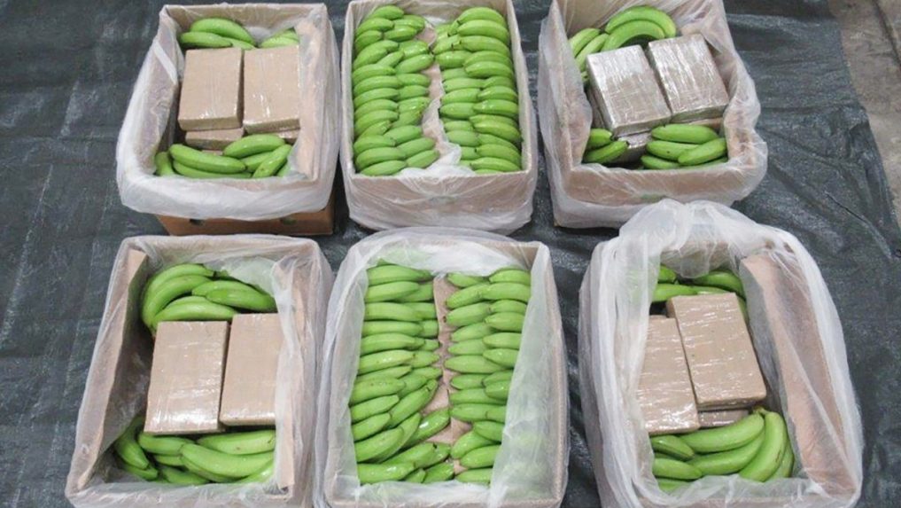Rekordná zásielka kokaínu: Britskí policajti skonfiškovali tony tejto drogy, boli v dodávke banánov