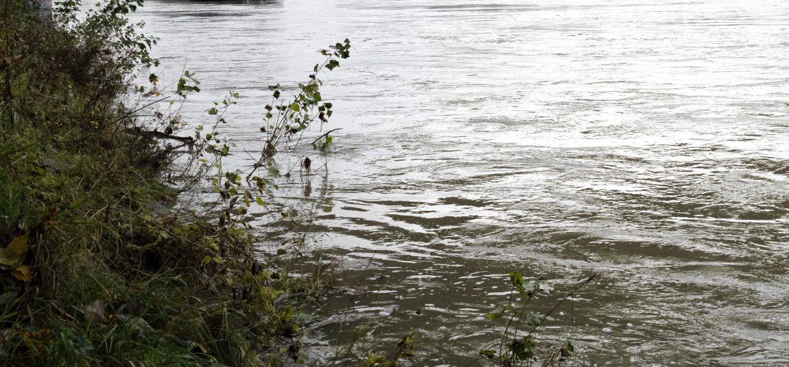 V Dunaji našli telo ženy: Príčinu smrti zisťujú