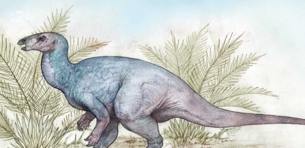 Poznanie o dinosauroch sa rozrastá. Paleontológovia v Argentíne objavili nový druh
