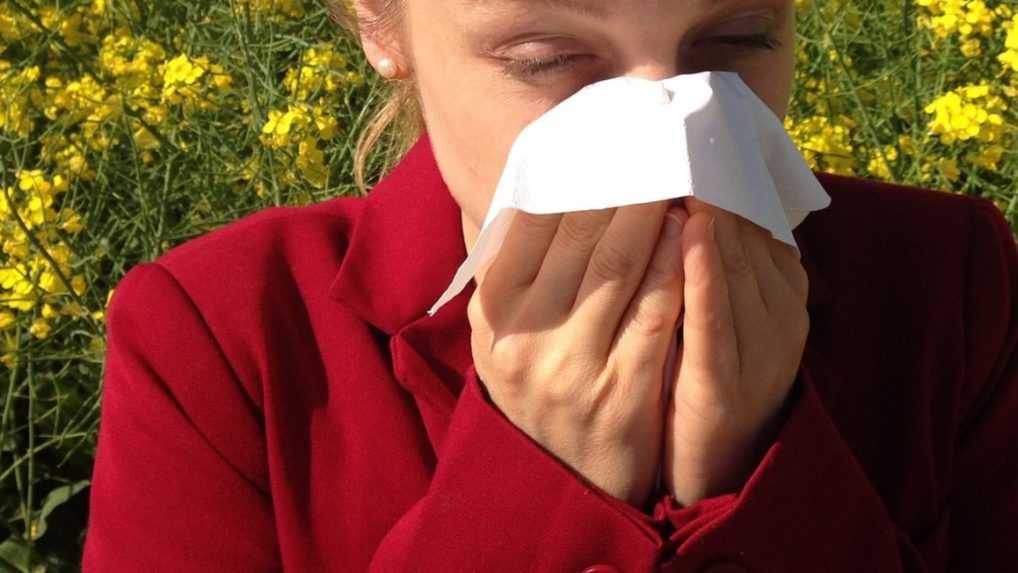 Alergičare čeka težak tjedan: dolazi sezona jakih alergena