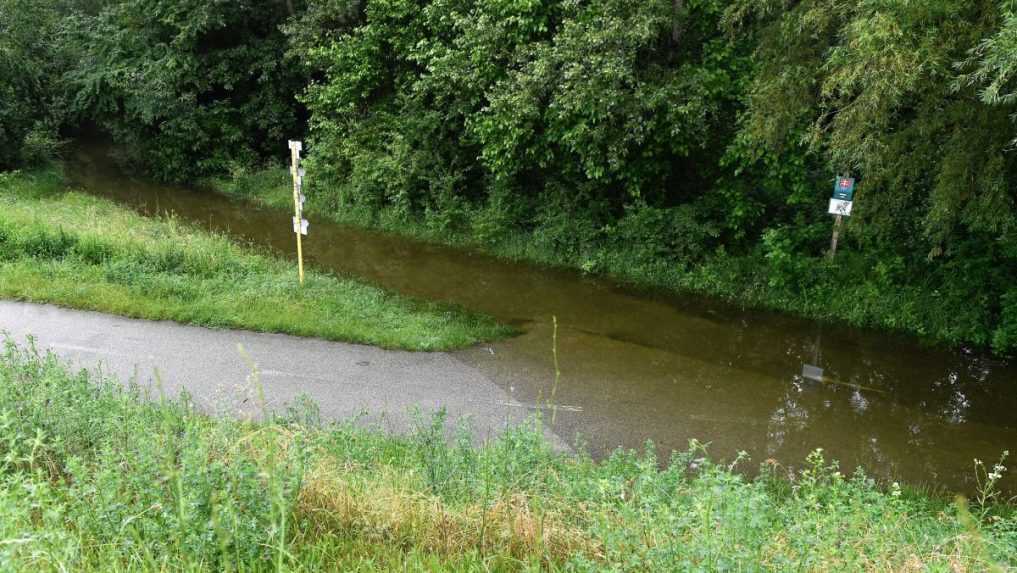 Zaliata cyklocesta pri hrade DevÃƒÂ­n.