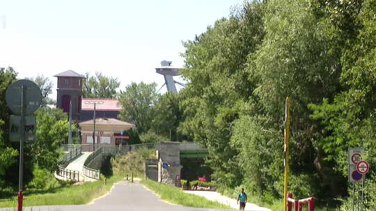 Zeleň v Bratislave, v popredí cyklochodník, v pozadí Most SNP.