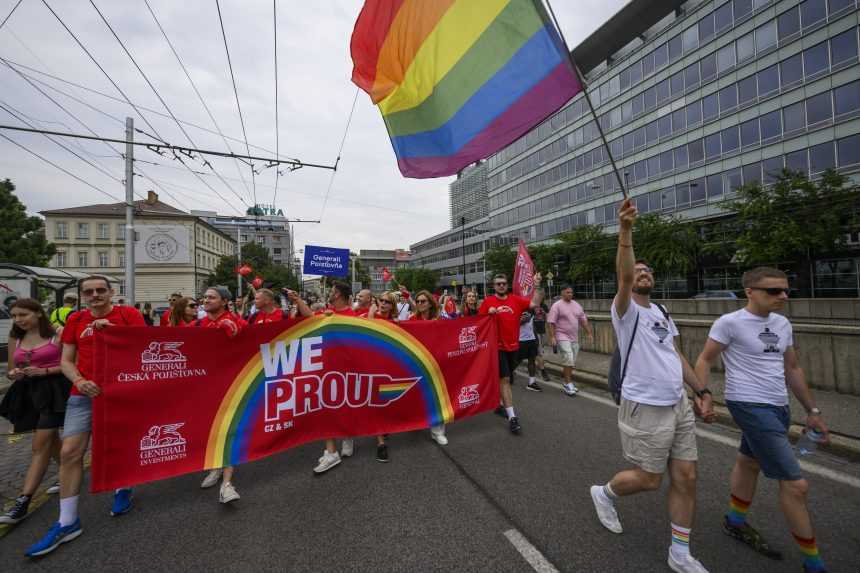 14. roÃ„ÂnÃƒÂ­k podujatia DÃƒÂºhovÃƒÂ½ Pride v Bratislave.