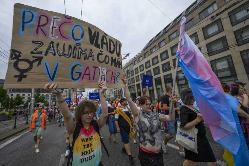 14. roÃ„ÂnÃƒÂ­k podujatia DÃƒÂºhovÃƒÂ½ Pride v Bratislave.