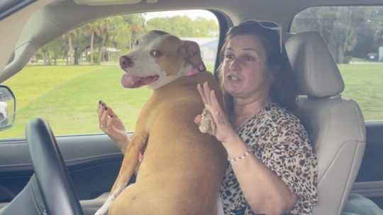 Príbeh so šťastným koncom: Majiteľ našiel svojho psa po dvoch rokoch stovky kilometrov od domova